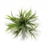 Gęsta Kępka Trawki sztuczna roślina do dekoracji terrarium Tropical Terra