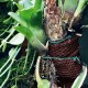 M - hydrolon Wacool Rainforest Plant Cotton | Tropical Terra™