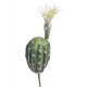 Kaktus kwitnący jasny sztuczna pustynna roślina do dekoracji i budowy wystroju terrarium Tropical Terra