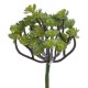 Gałązka mini sukulentów  sztuczna roślina do dekoracji i budowy wystroju terrarium Tropical Terra