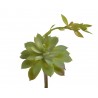 Sukulent echeveria | Sztuczna roślina do dekoracji terrarium