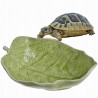 Ceramiczna miska w kształcie liścia na pokarm dla Żółwi do terrarium