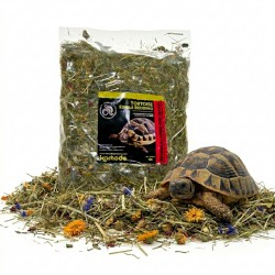 Komodo Botanical Terrain 10l - Podłoże naturalne z ziół 10l dla Żółwi Grecki Stepowy Lądowy Lamparci Węże