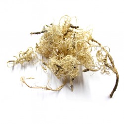 Curly Moss bielony - 15g