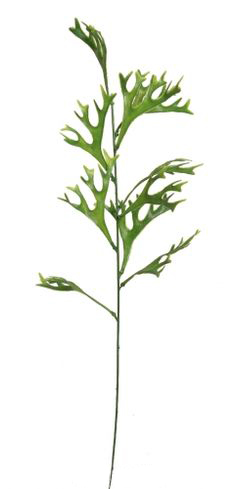 Łosie rogi - dekoracyjna sztuczna roślina do aranżacji terrarium