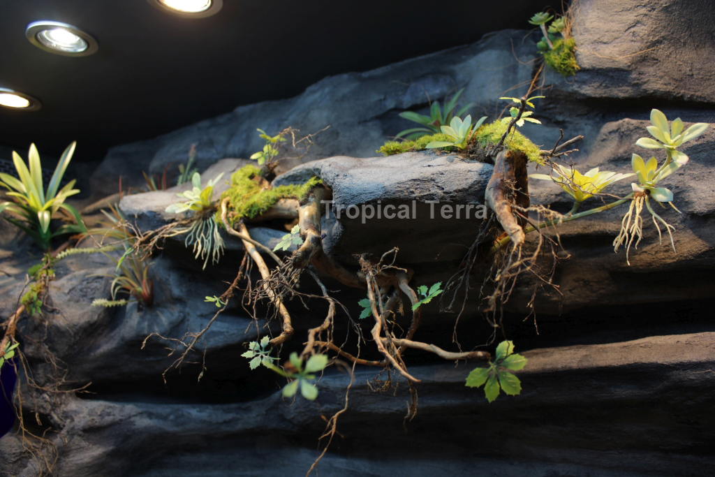 Klej do łączenia korzeni i dekoracji terrarium