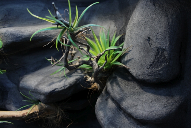 Agawa - Sztuczna roślina do dekoracji terrarium