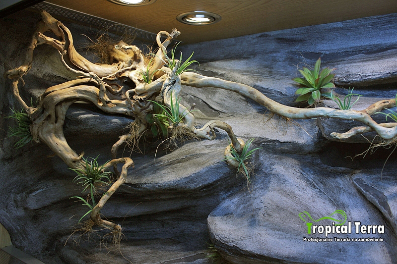 Gęsta Kępka Trawki sztuczna roślina do dekoracji terrarium Tropical Terra