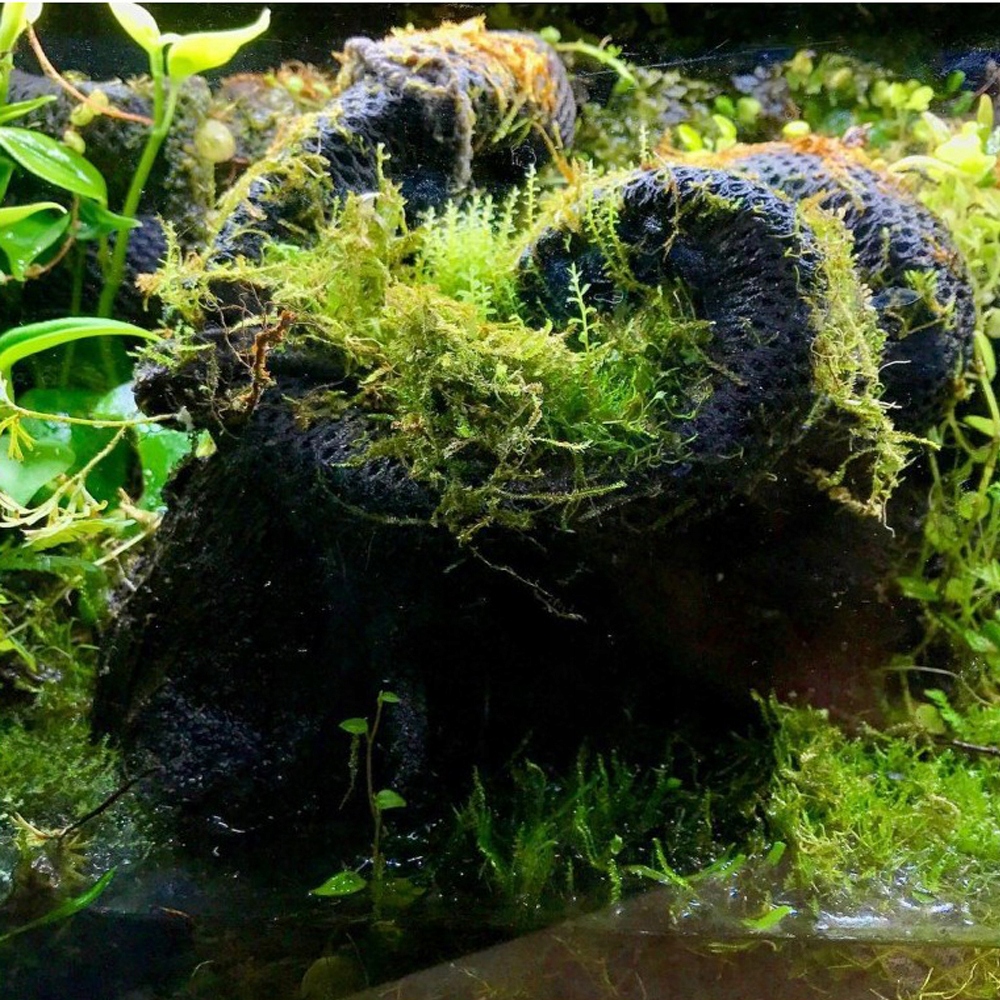 M - hydrolon Wacool Rainforest Cotton Hydrolon Hydrolon M żywa ścianka tło Terrarium Paludarium