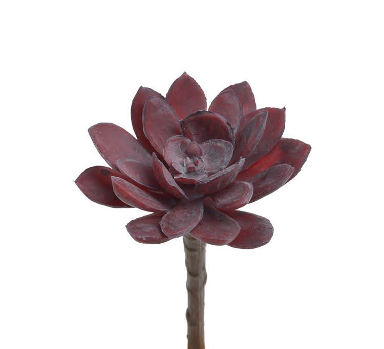 sukulent burgundy - dekoracyjna sztuczna roślina do aranżacji terrarium