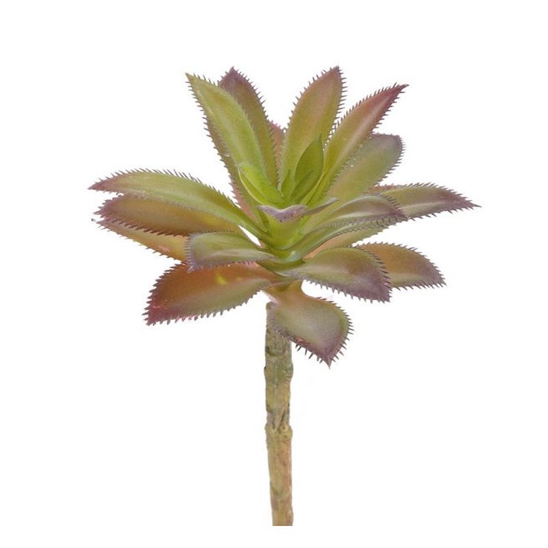 sukulent - sztuczna roslina do aranżacji terrarium