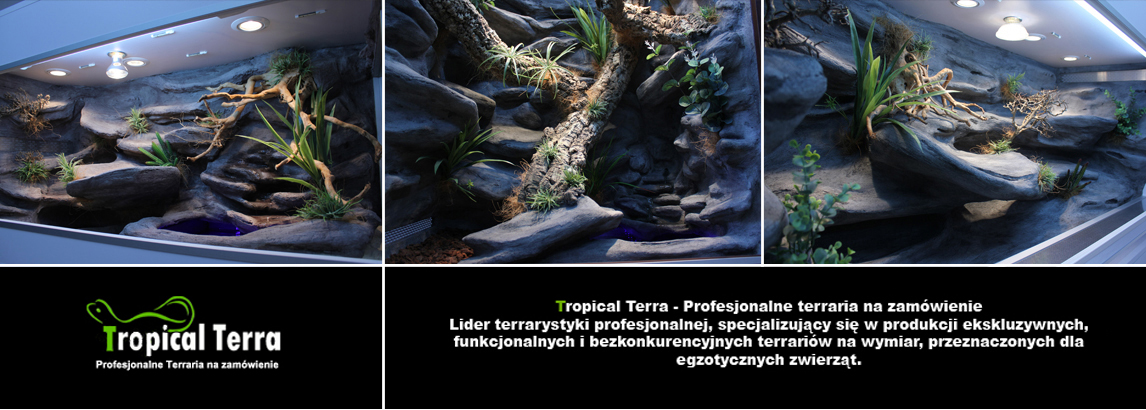 Tropical Terra - Inspiracje