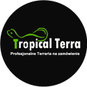 Tropical Terra - Profesjonalne terraria na zamówienie i internetowy sklep terrarystyczny